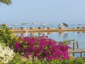 Movenpick Resort And Spa El Gouna