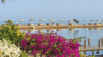 Movenpick Resort And Spa El Gouna