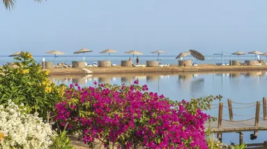 Movenpick Resort And Spa El Gouna