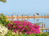 Movenpick Resort El Gouna