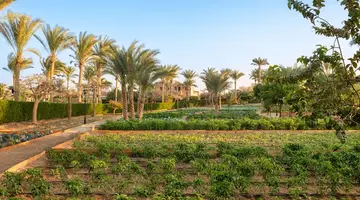 MOVENPICK RESORT EL QUSEIR