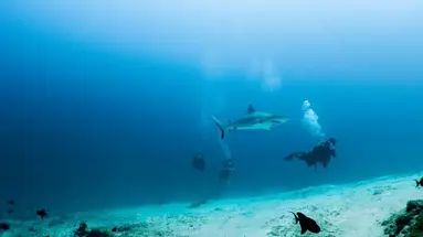 Movenpick Resort Kuredhivaru Maldives