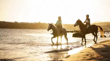 Movenpick Sharm