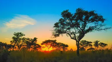 Mozambik i safari w RPA