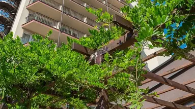 MPM Hotel Orel