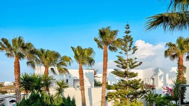 Mr & Mrs White Hotel Paros