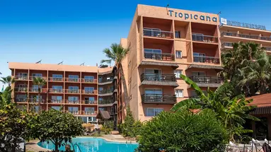 MS Tropicana