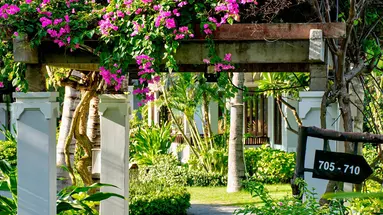 Muine Bay Resort