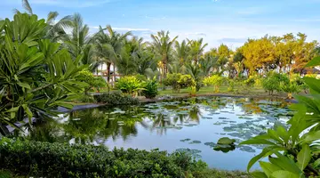 Muine Bay Resort