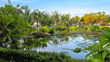 Muine Bay Resort