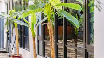 Muthu Oura Praia Hotel