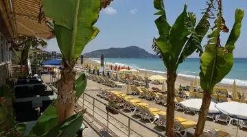 Muz Hotel