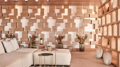 Myconian Naia Luxury Suites 5