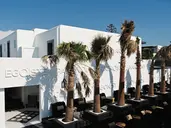 Myconian O Hotel