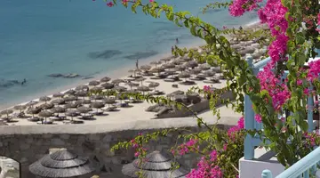 Myconian Royal Resort