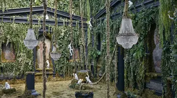 MYCONIAN ROYAL