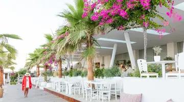 Mykonos Dove Beachfront Hotel