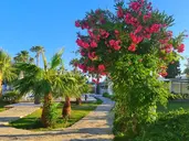 Nagi Beach Hotel