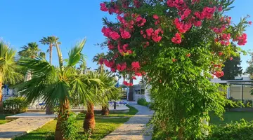 Nagi Beach Hotel