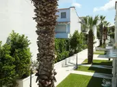 NAIAS BEACH