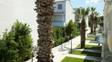 NAIAS BEACH