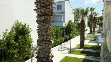 NAIAS BEACH