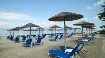 NAIAS BEACH