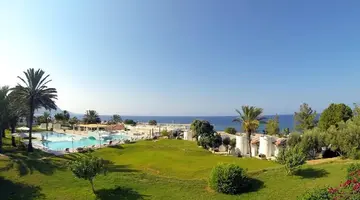 Nalu Latchi Leonardo Limited Edition