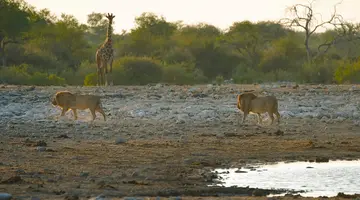Namibia, Botswana I Nad Zambezi, Z Noclegami W Lodżach