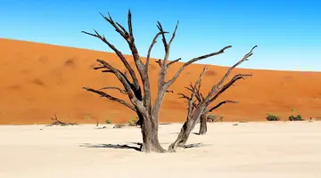 Namibia, Botswana I Nad Zambezi, Z Noclegami W Lodżach