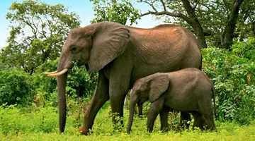 Namibia, Botswana I Nad Zambezi, Z Noclegami W Lodżach