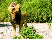 Namibia, Botswana I Nad Zambezi, Z Noclegami W Lodżach