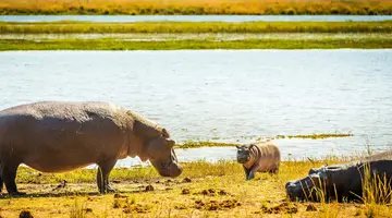 Namibia, Botswana I Nad Zambezi, Z Noclegami W Lodżach