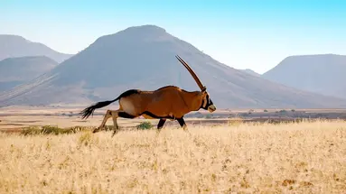 Namibia, Botswana I Nad Zambezi, Z Noclegami W Lodżach
