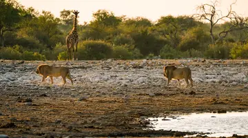 Namibia, Botswana I Nad Zambezi
