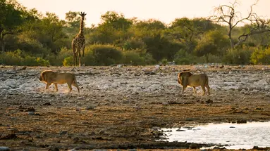 Namibia, Botswana I Nad Zambezi