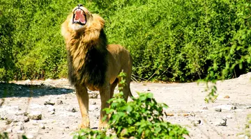 Namibia, Botswana I Nad Zambezi