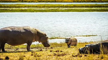 Namibia, Botswana I Nad Zambezi