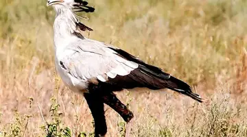 Namibia, Botswana I Nad Zambezi