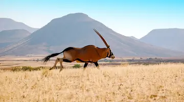 Namibia, Botswana I Nad Zambezi