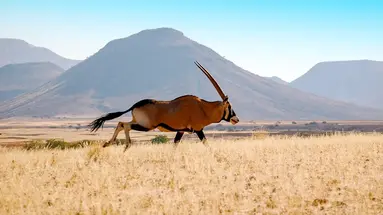 Namibia, Botswana I Nad Zambezi