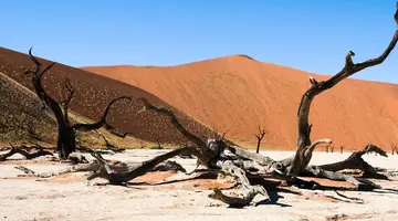 Namibia- Pomarańczowe Wydmy