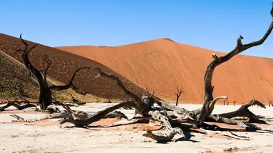 Namibia- Pomarańczowe Wydmy