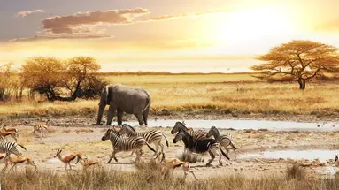 Namibia- Pomarańczowe Wydmy