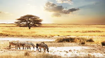 Namibia- Pomarańczowe Wydmy