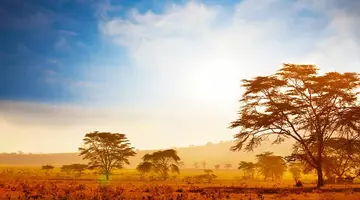 Namibia- Pomarańczowe Wydmy