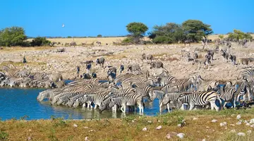 Namibia- Pomarańczowe Wydmy