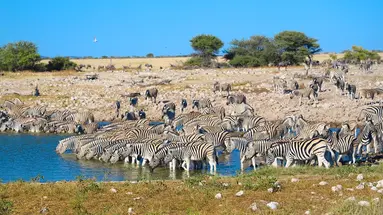 Namibia- Pomarańczowe Wydmy