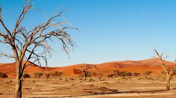 Namibia- Pomarańczowe Wydmy