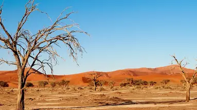 Namibia- Pomarańczowe Wydmy